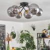 Chehalis Ceiling Light - glass 12 cm, 15 cm gold, black, 6-light sources