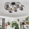 Chehalis Ceiling Light - glass 15 cm gold, black, 6-light sources