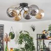 Chehalis Ceiling Light - glass 15 cm gold, black, 6-light sources