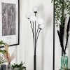 Bernado Floor Lamp - glass 10 cm white, 5-light sources