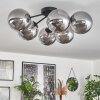 Chehalis Ceiling Light - glass 15 cm Smoke-coloured, 6-light sources