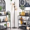 Gastor Floor Lamp - glass 15 cm Amber, clear, 3-light sources