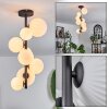 Chehalis Ceiling Light - glass 10 cm, 12 cm, 15 cm white, 8-light sources