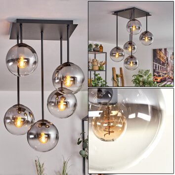 Gastor Ceiling Light - glass 15 cm clear, Smoke-coloured, 5-light sources