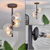 Chehalis Ceiling Light - glass 10 cm, 12 cm clear, 4-light sources