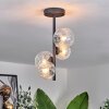 Chehalis Ceiling Light - glass 10 cm, 12 cm clear, 4-light sources