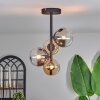 Chehalis Ceiling Light - glass 10 cm, 12 cm Amber, clear, Smoke-coloured, 4-light sources