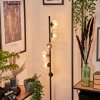 Remaisnil Floor Lamp - glass 10 cm, 12 cm clear, 6-light sources