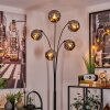 Ripoll Floor Lamp - glass 15 cm chrome, 5-light sources