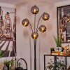 Ripoll Floor Lamp - glass 15 cm chrome, 5-light sources