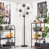 Ripoll Floor Lamp - glass 15 cm chrome, 5-light sources