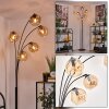 Ripoll Floor Lamp - glass 15 cm Amber, 5-light sources