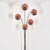 Ripoll Floor Lamp - glass 15 cm coppery, 5-light sources