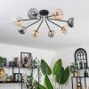 Chehalis Ceiling Light - glass 12 cm gold, black, 8-light sources