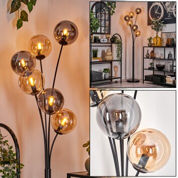 Gastor Floor Lamp - glass 15 cm Amber, Smoke-coloured, 6-light sources