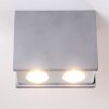 Braslo Ceiling Light chrome, grey, 2-light sources