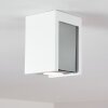 Braslo Ceiling Light chrome, white, 1-light source