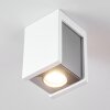 Braslo Ceiling Light chrome, white, 1-light source