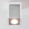 Braslo Ceiling Light chrome, white, 1-light source