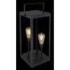 Globo solar light LED black, 2-light sources