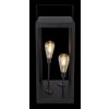 Globo solar light LED black, 2-light sources