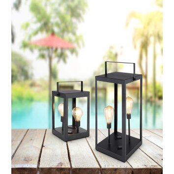 Globo solar light LED black, 2-light sources