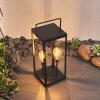 Sciolze solar light LED black, transparent, clear, 2-light sources