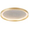 Brilliant Quito Ceiling Light LED gold, 1-light source