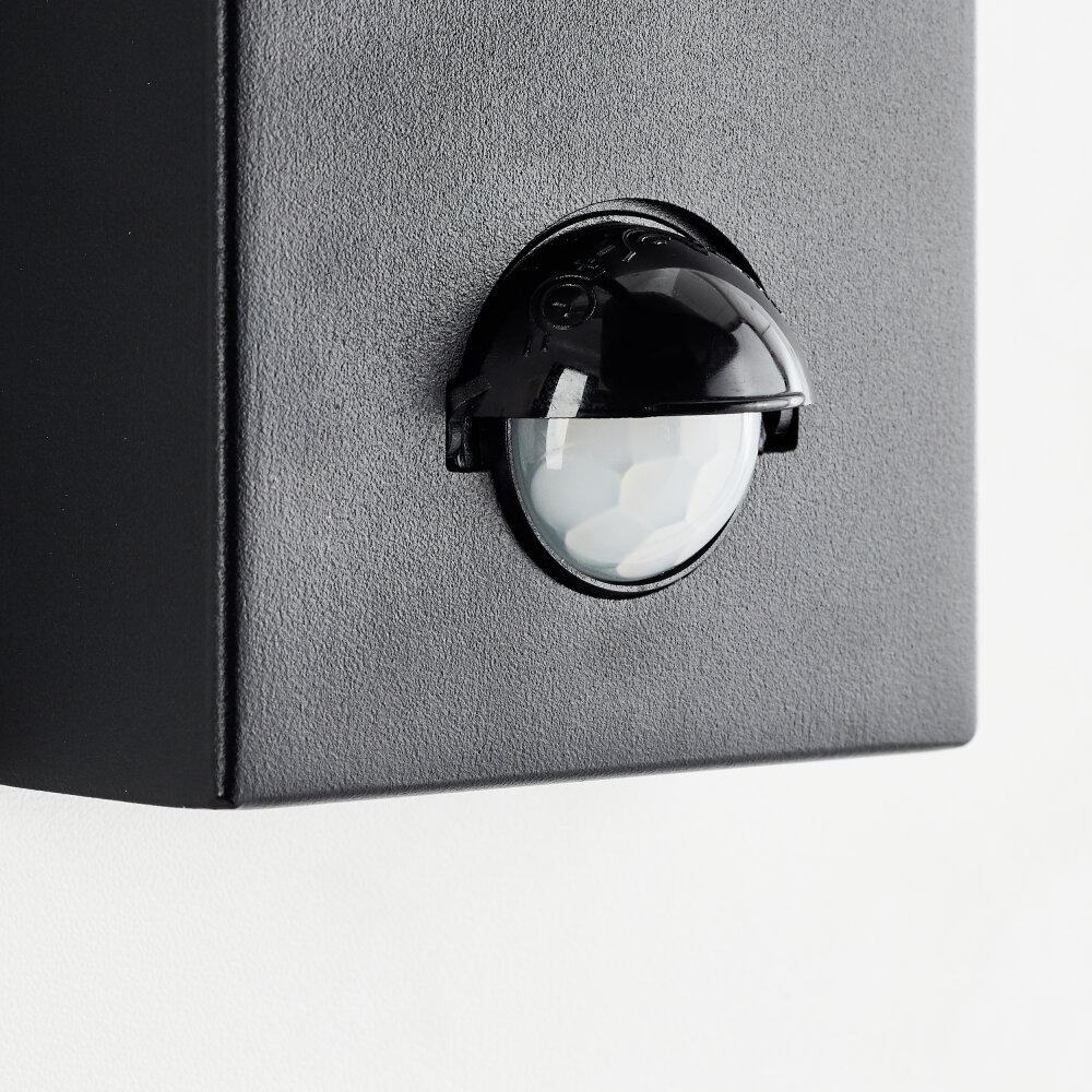 Brilliant Bari Outdoor Wall Light black, 1-light source
