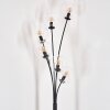 Gastor Floor Lamp - glass 15 cm clear, 6-light sources