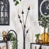 Gastor Floor Lamp - glass 15 cm clear, 6-light sources