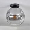 Ripoll Ceiling Light - glass 25 cm clear, Smoke-coloured, 1-light source