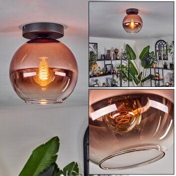 Koyoto Ceiling Light - glass 20 cm clear, coppery, 1-light source