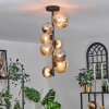 Chehalis Ceiling Light - glass 10 cm, 12cm, 15cm Amber, Smoke-coloured, 8-light sources