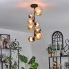 Chehalis Ceiling Light - glass 10 cm, 12cm, 15cm Amber, Smoke-coloured, 8-light sources