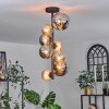 Chehalis Ceiling Light - glass 10 cm, 12cm, 15cm Amber, Smoke-coloured, 8-light sources