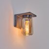 Aquin Outdoor Wall Light anthracite, 1-light source