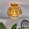 Ripoll Ceiling Light - glass 25 cm gold, black, 1-light source