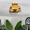 Ripoll Ceiling Light - glass 25 cm gold, black, 1-light source