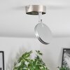 Sarnadinha Ceiling Light LED matt nickel, 1-light source