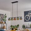 Belp Pendant Light black, 5-light sources