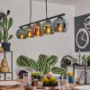 Belp Pendant Light black, 5-light sources