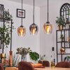 Vevino pendant light Amber, clear, Smoke-coloured, 3-light sources