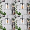 Lauden hanging light clear, 4-light sources