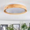 Sofo ceiling light LED white, 1-light source