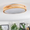 Sofo ceiling light LED white, 1-light source