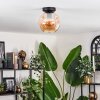 Ripoll ceiling light Amber, 1-light source