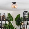 Ripoll ceiling light Amber, clear, 1-light source