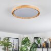 Sofo ceiling light LED white, 1-light source, Remote control