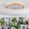 Sofo ceiling light LED white, 1-light source, Remote control